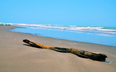 fotos de la playa en casitas y costa esmeralda veracruz