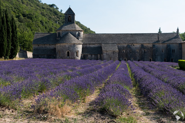 Notre-Dame de Sénanque