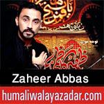 http://www.humaliwalayazadar.com/2015/10/zaheer-abbas-kazmi-nohay-2016.html