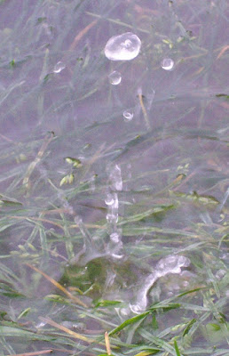 water droplet splashing into puddle - still shot - slow motion