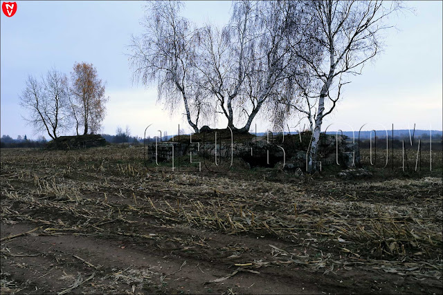 Снимок нескольких бункеров