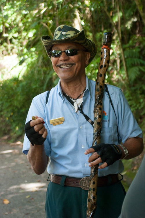 El Yunque Rainforest blog-3