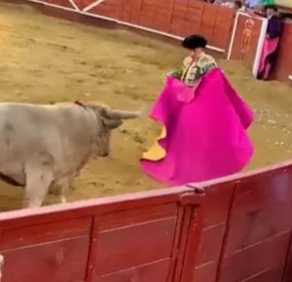 Multidão horrorizada vê toureiro ser empalado e arremessado por touro - vídeo