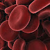 RFID consortium to bring blood product tracking technology to market