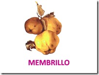 frutos de otoño (7)