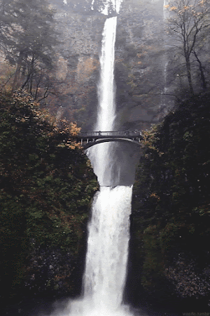 Nature Water Fall