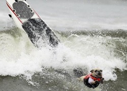 Foto: REUTERS/Lucy Nicholson
