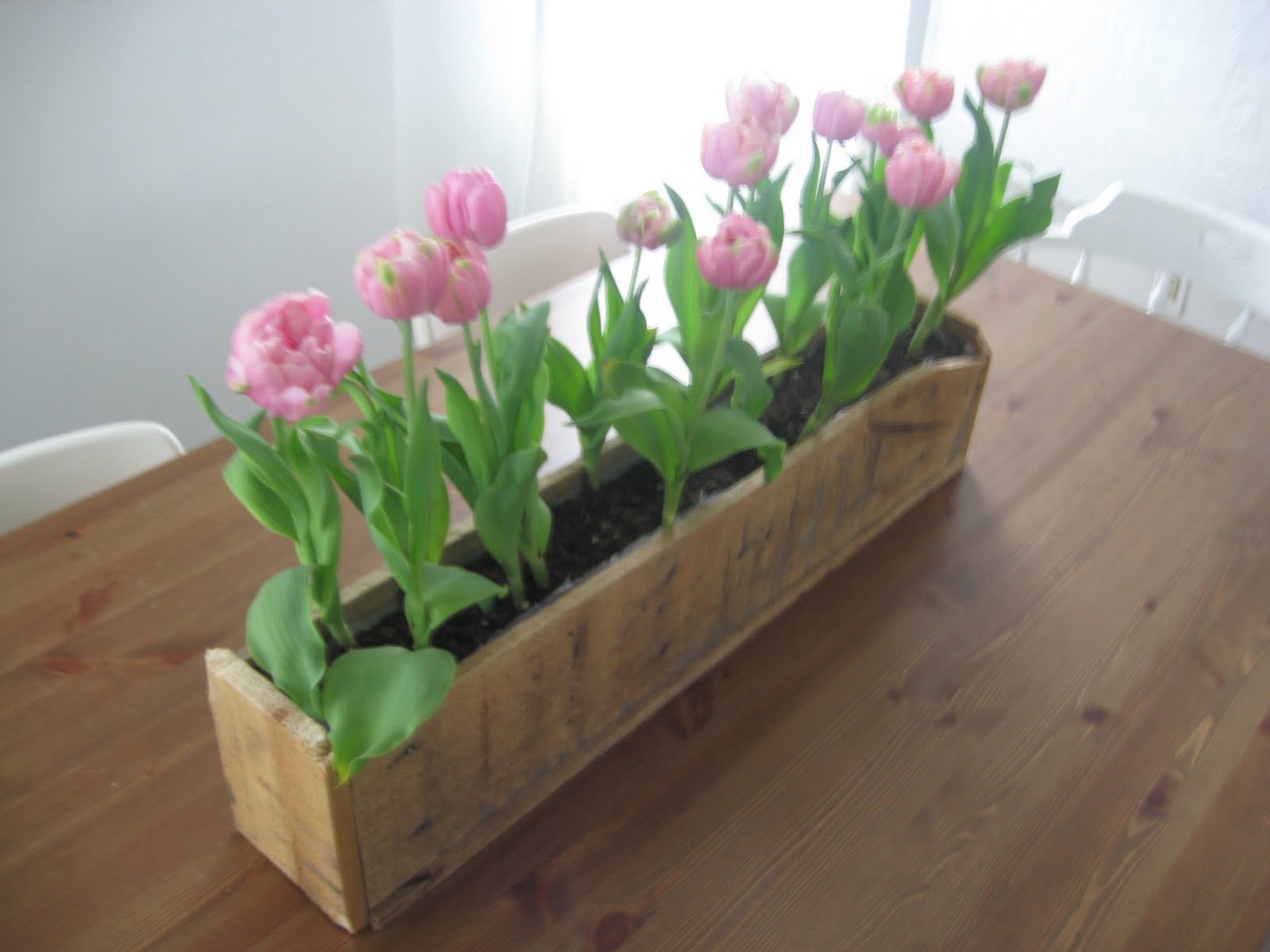 I am Davidj: Wood Pallet Flower Box