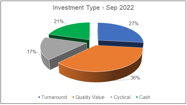 Winning stock portfolio - Investment type profile