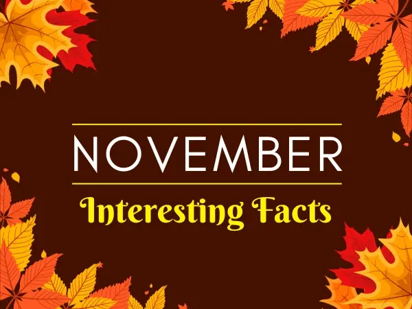november month facts