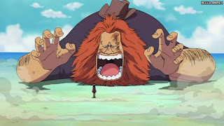 ワンピース アニメ 275話 ロビン過去 20年前 オハラ ハグワール・D・サウロ Jaguar D. Saul | ONE PIECE Episode 275 Ohara