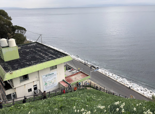 淡路島 灘黒岩水仙郷 レビュー