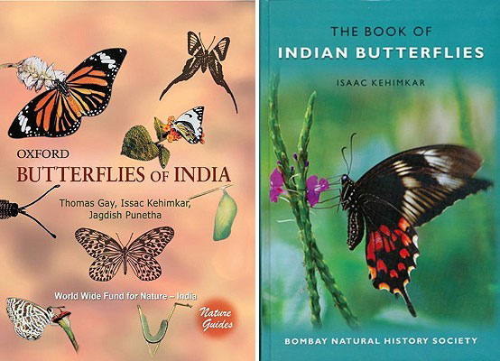 Butterflies Of Singapore Book Review Butterflies Of India