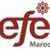 |¦₪¦| Forndation de l'Education EFE Recrute : l'Emploi Coordinateur Formation - مؤسسة التربية من أجل التشغيل