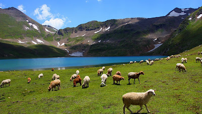 Deosai Plateau Pakistan Wallpapers