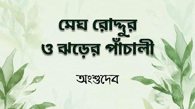 মেঘ রোদ্দুর ও ঝড়ের পাঁচালী -অংশুদেব