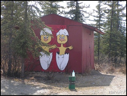 Chicken-2