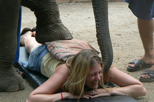 The Elephant Massage
