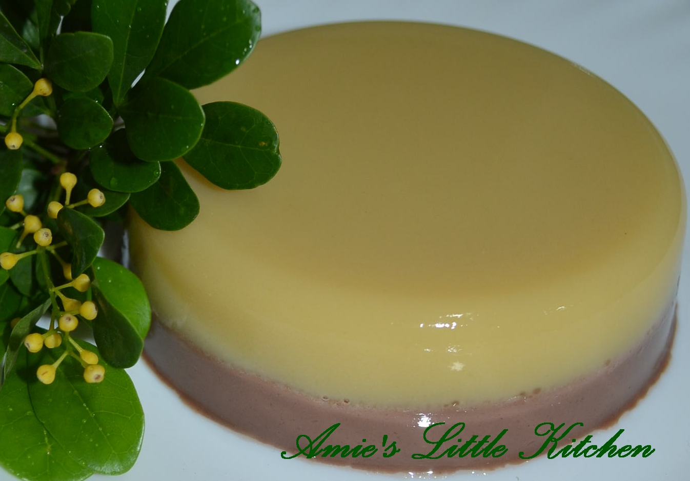 AMIE'S LITTLE KITCHEN: Agar-Agar Soya Jagung & Coklat