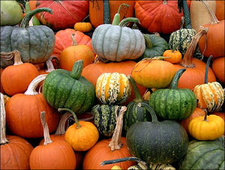 pumpkinfest in port elgin