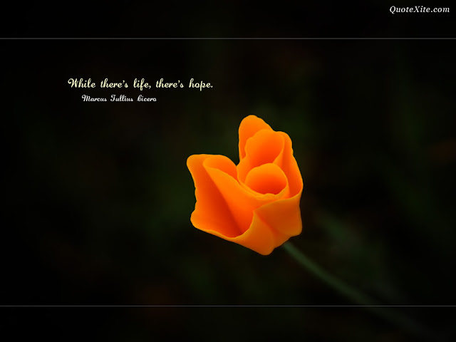 hope quotes wallpaper