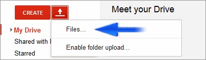 host web files in google drive