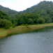 View album