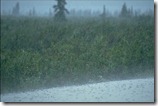 rainfall
