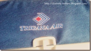 Pesawat Trigana Air