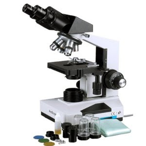 AmScope 40x-2000x Medical Laboratory Vet Compound Microscope
