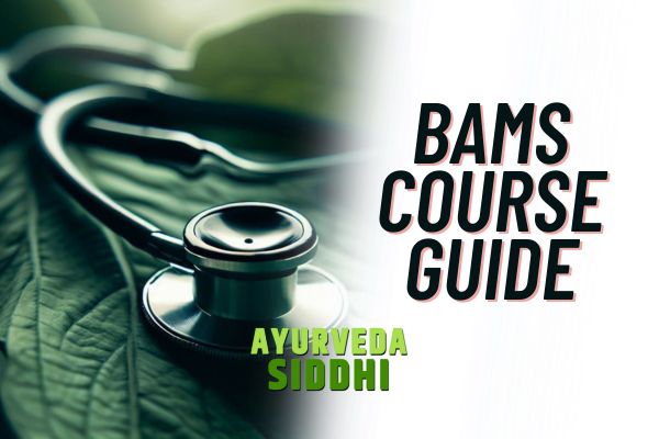 BAMS Guide for New Students 2024