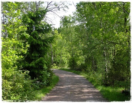 1 försommar