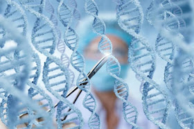 Ενημερωτική έκθεση του ΑΙΓΙΛΟΠΑ και του δικτύου ΣΙΤΩ για τις νέες γονιδιωματικές τεχνικές (ΝΓΤ)