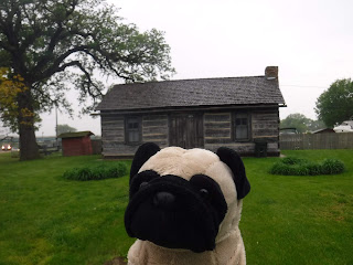 a plush pug appears in front of a small wooden cabin