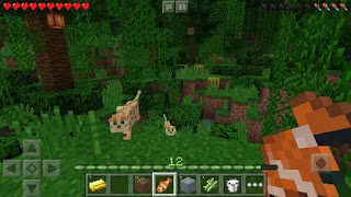 Minecraft Pocket Edition Apk v1.1.1.51 Terbaru Full