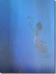 IMG_0181