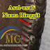 Asal-usul nama dan sebutan ringgit