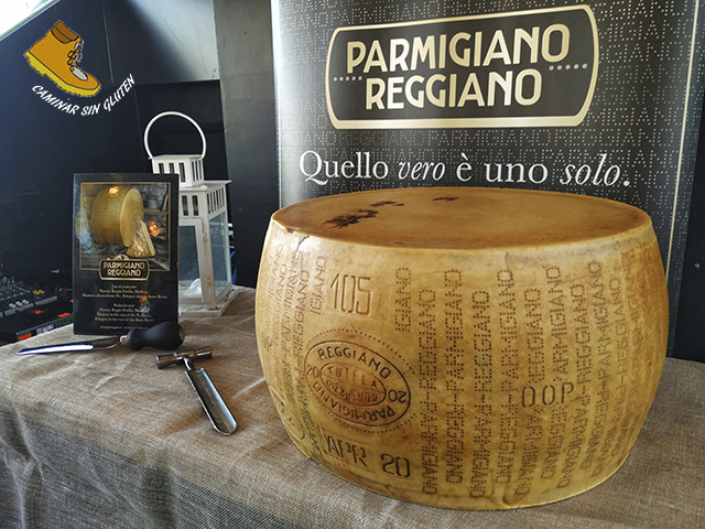 PIEZA DE QUESO DE PARMIGIANO REGGIANO