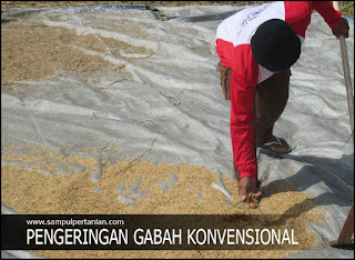 Pengertian Gks (Gabah Kering Simpan) Adalah