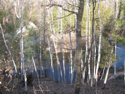 Pine River from bluff