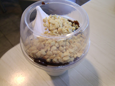 McDonald's Hot Fudge Sundae with Chopped Peanuts