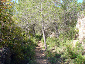 Senderismo - Puebla de Arenosos - Chorrico - Montico - Chorrador SL-CV 57