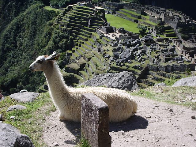 hiking in Machu Picchu 