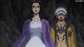 ワンピース劇場版 スタンピード ロビン トラファルガー・ロー | ONE PIECE MOVIE STAMPEDE