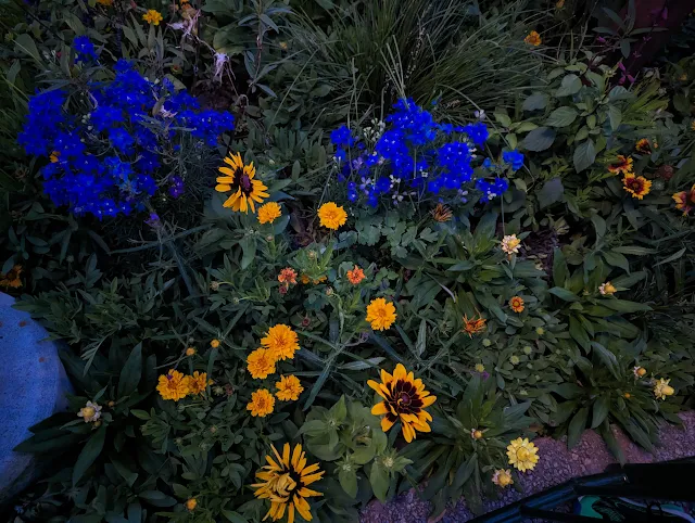 Annual Flowers at Disney's Epcot Flower and Garden Festival