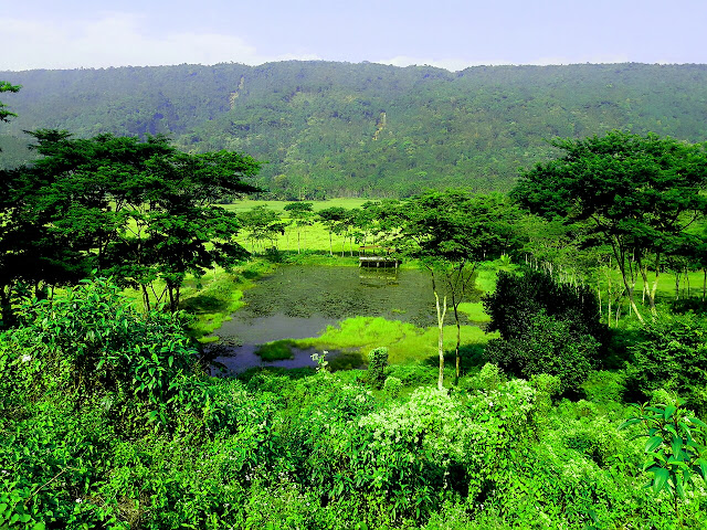 Jainta hill Green Hill View