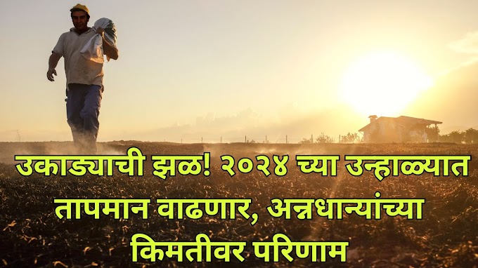  उकाड्याची झळ! २०२४ च्या उन्हाळ्यात तापमान वाढणार, अन्नधान्यांच्या किमतीवर परिणाम