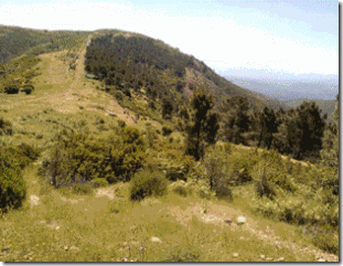 clip_image006[6]