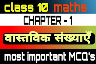 Mcq test for NCERT class 10 maths chapter 1 in Hindi