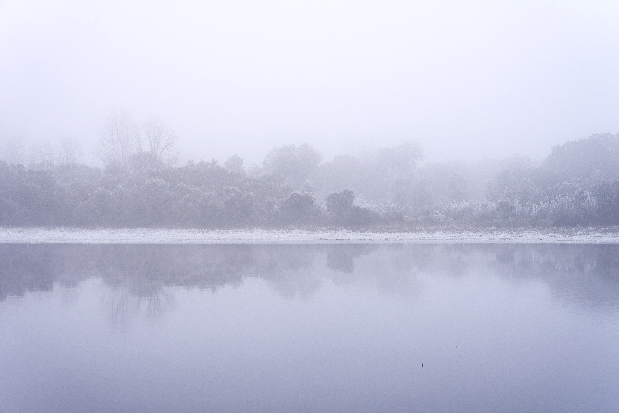 Paisaje con reflejo en lagunas de Zamora en un día de invierno con todo congelado y blanco por la cencellada